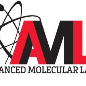 Team AML