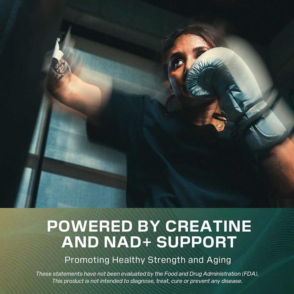 Cellucor Longevity Creatine and NAD+ formula