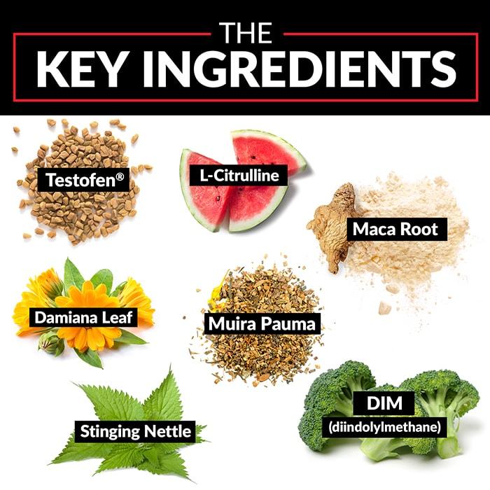 Image showing 7 Key ingredients of Force Factor Test X180 Alpha Testosterone Booster for Men