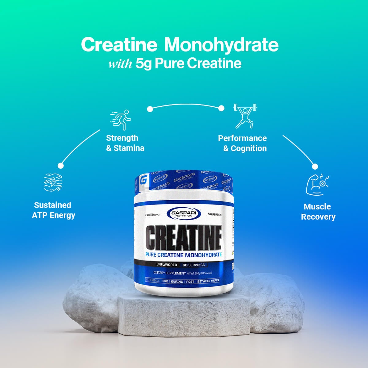 Gaspari Creatine Monohydrate bottle highlighting benefits like sustained ATP energy, strength and stamina, performance and cognition, and muscle recovery