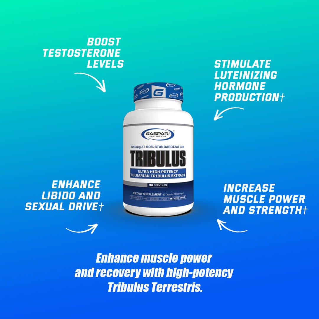 Gaspari Tribulus bottle highlighting benefits like boosting testosterone levels, enhancing libido, stimulating luteinizing hormone, and increasing muscle power