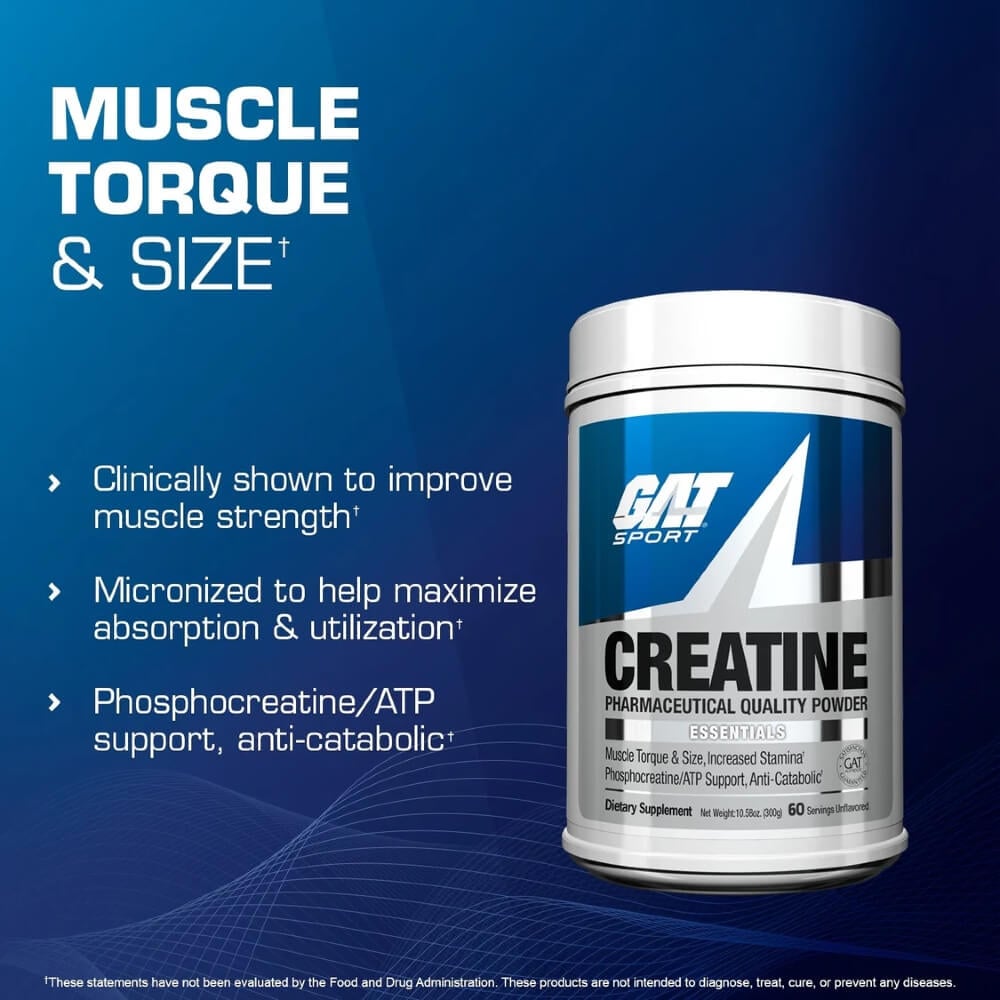 Muscle torque and size