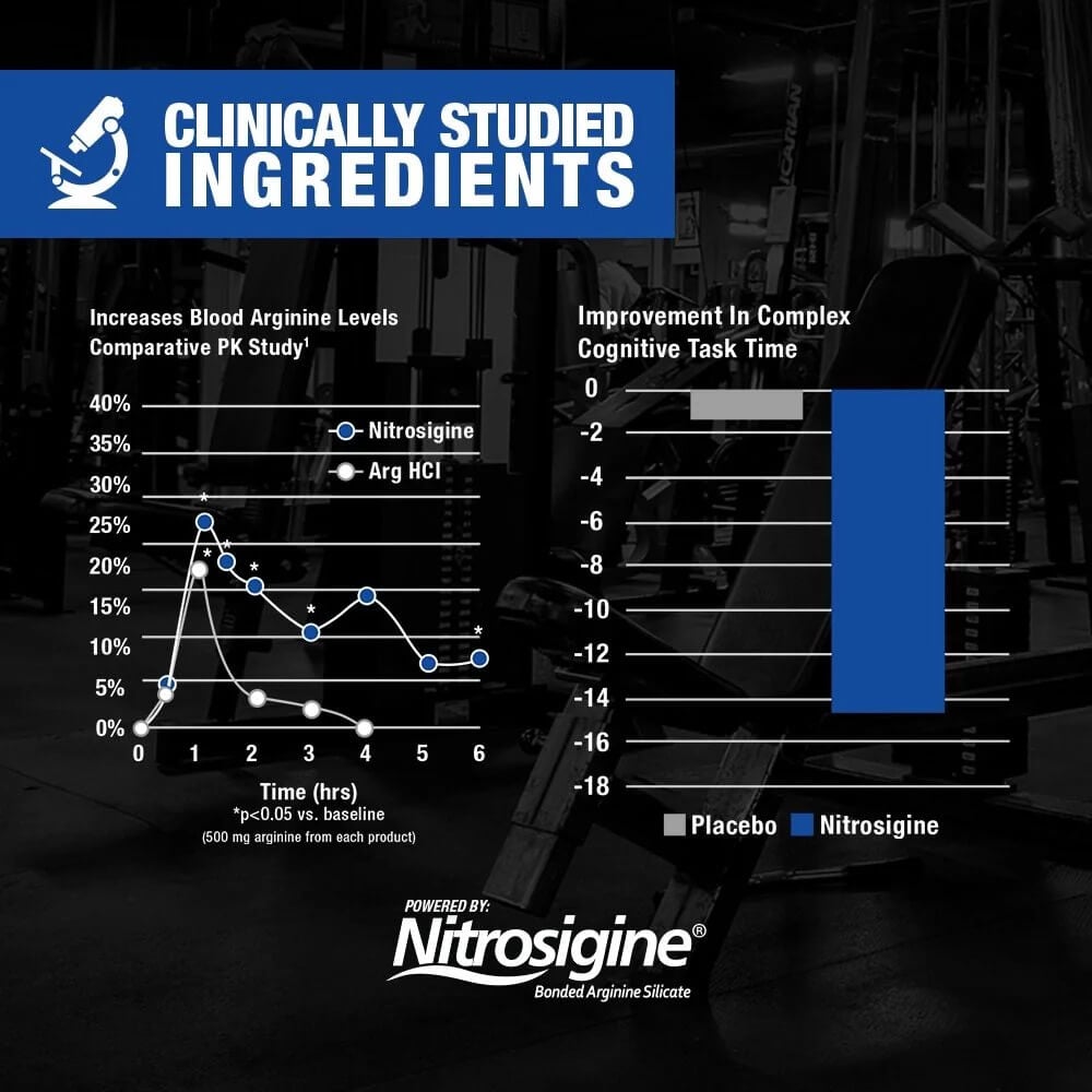 Clinically studied ingredients charts showing increases in blood arginine levels and improvement in complex cognitive task time powered by Nitrosigine