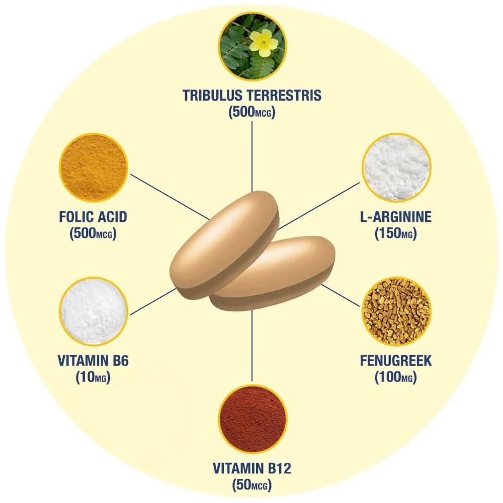 Key ingredients diagram showing Tribulus Terrestris, L-Arginine, Fenugreek, Vitamin B12, Vitamin B6, and Folic Acid