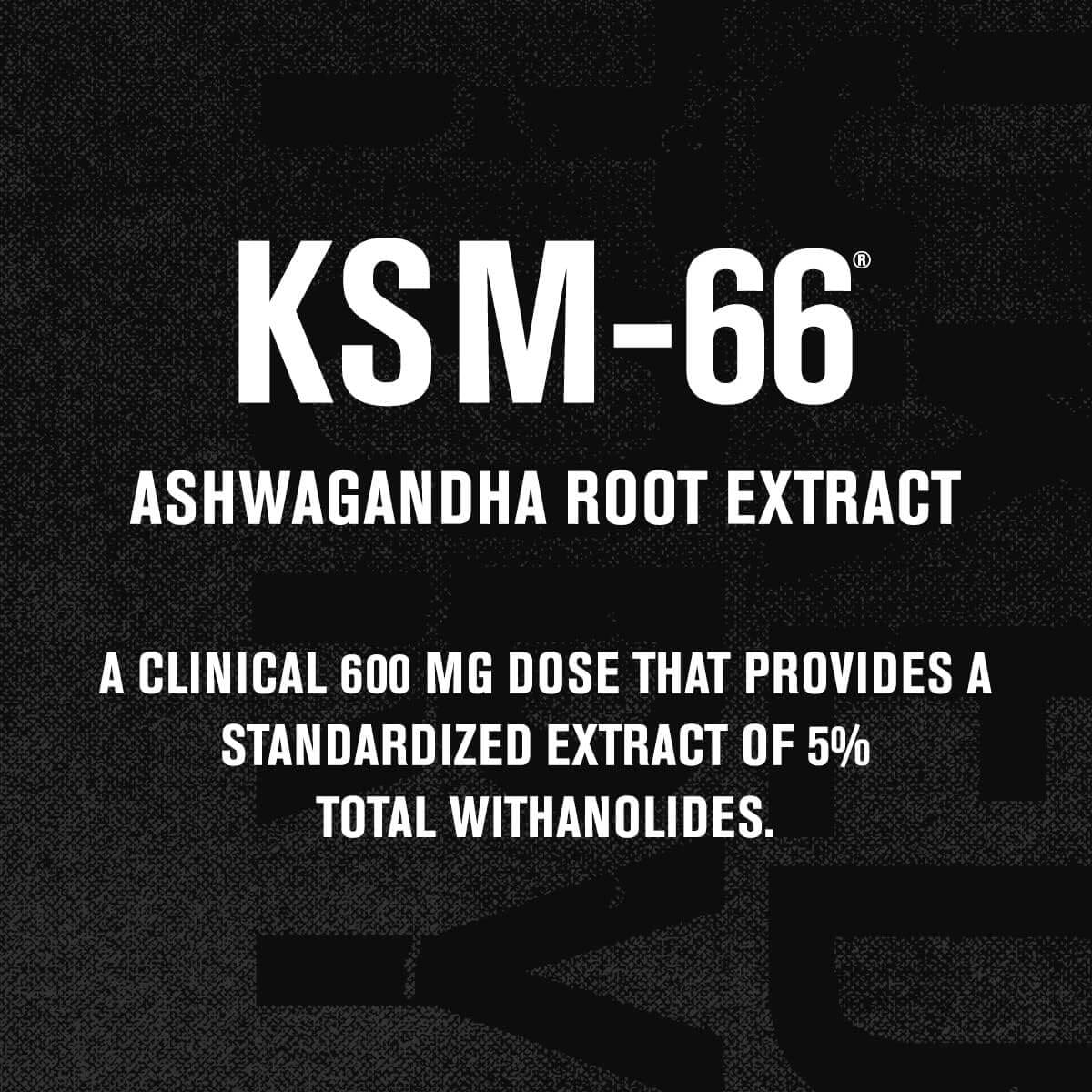 Jacked Factory KSM-66 Ashwagandha Root Extract, A Clinical 600 mg Dose That Provides a Standardized Extract of 5% Total Withanolides