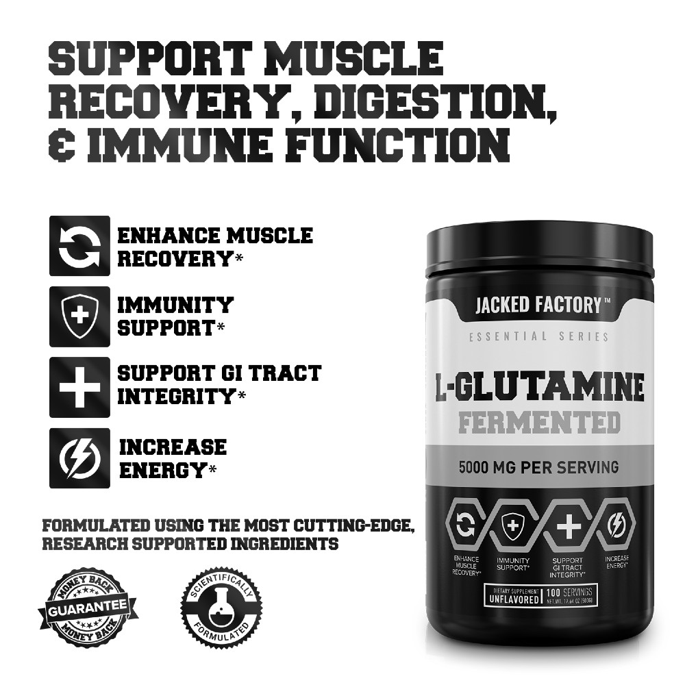 Support Muscle Recovery, Digestion & Immune Function
