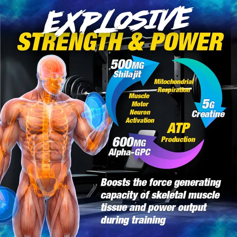 Graphic detailing Explosive Strength and Power ingredients like Shilajit, Alpha-GPC, and Creatine