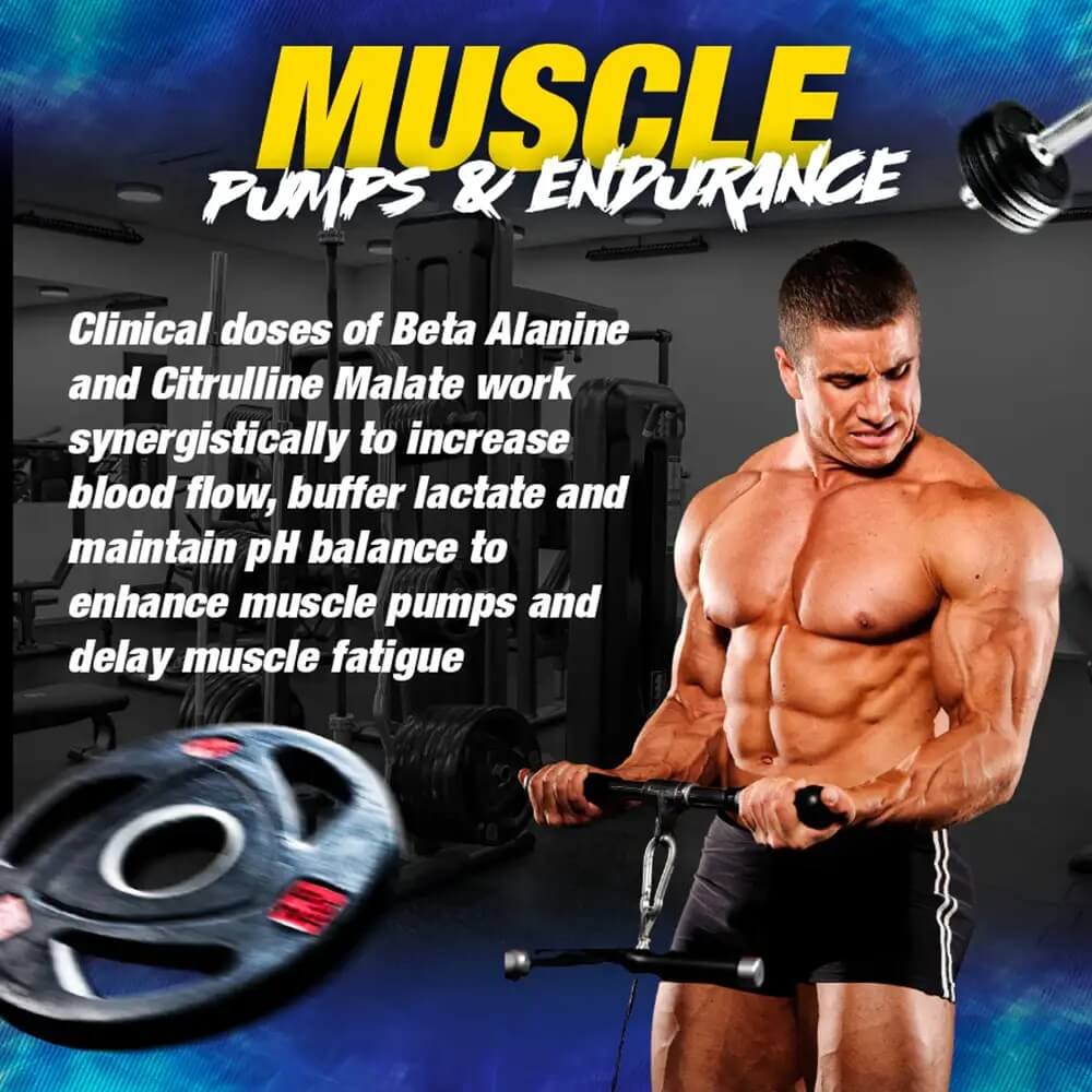 Graphic detailing Muscle Pumps & Endurance highlighting Beta Alanine and Citrulline Malate