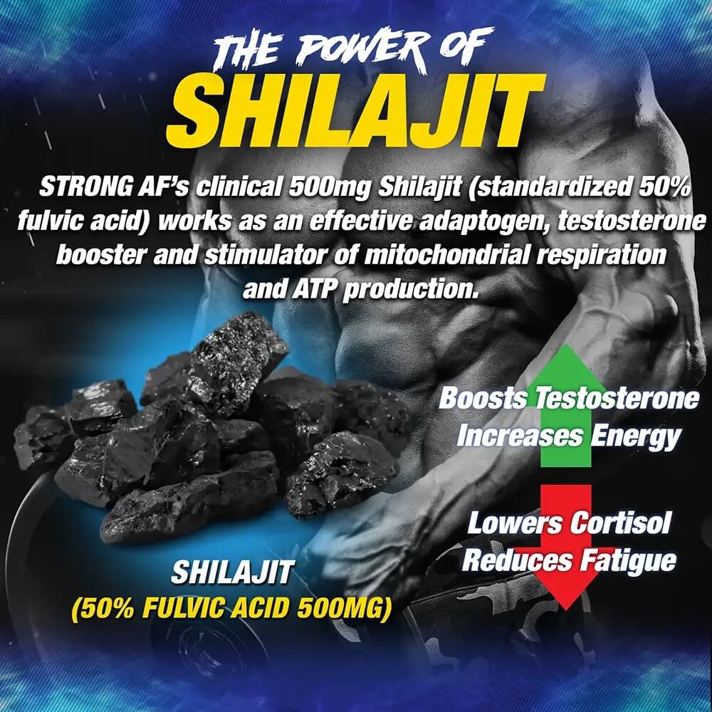 Graphic detailing The Power of Shilajit for testosterone and energy