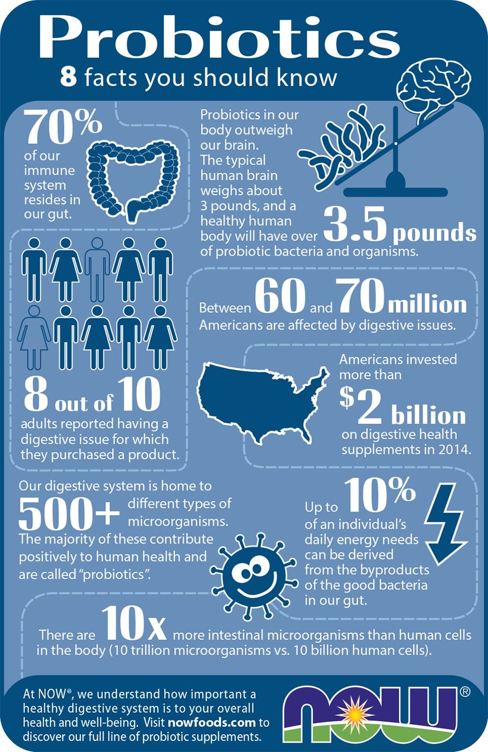 probiotic infographic