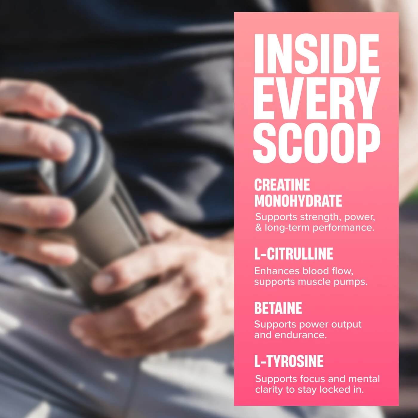 Inside Every Scoop highlighting Creatine, L-Citrulline, Betaine, and L-Tyrosine