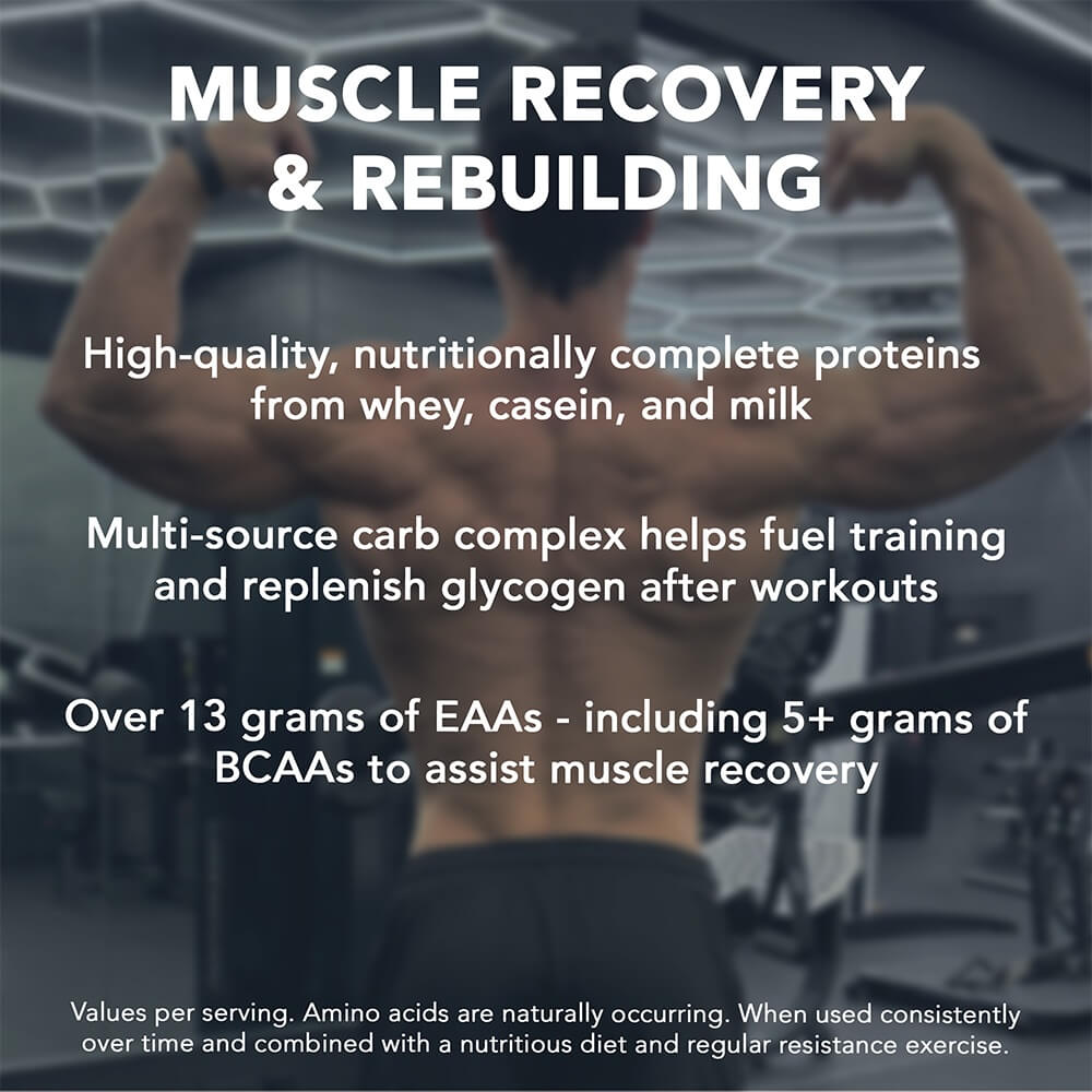 Muscle Recovery and Rebuilding