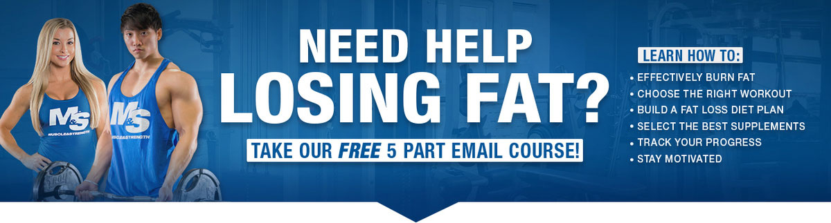 Fat loss course banner